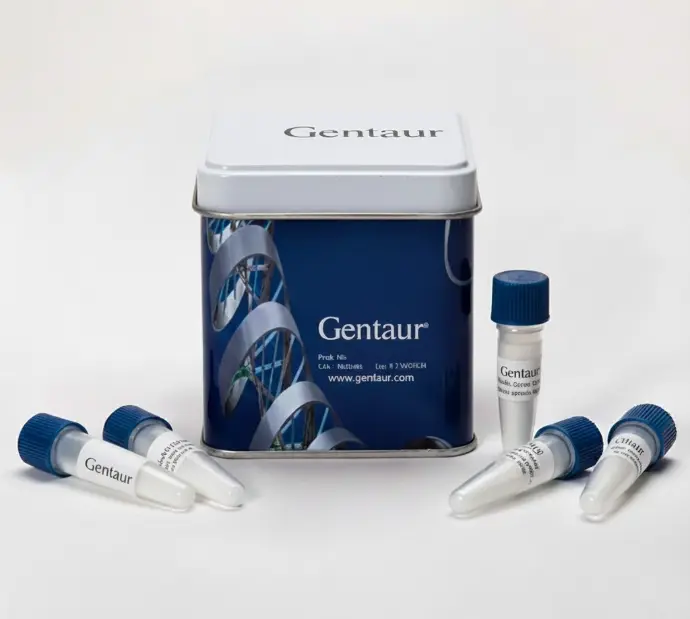 HighRanger Plus 100bp DNA Ladder, 100 Loads