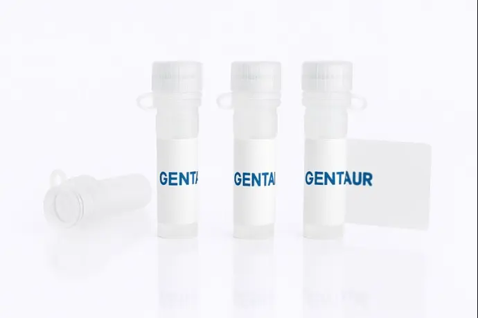 TOPO-Blunt End Cloning