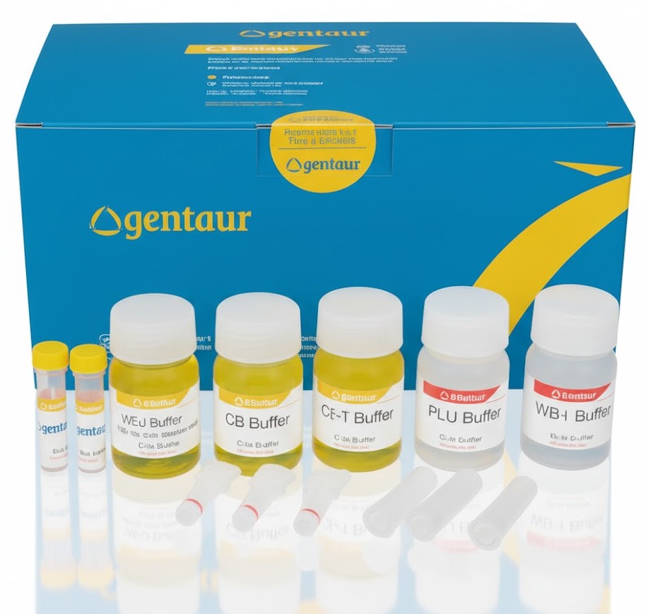 Bacterial-DIRECT PCR Kit